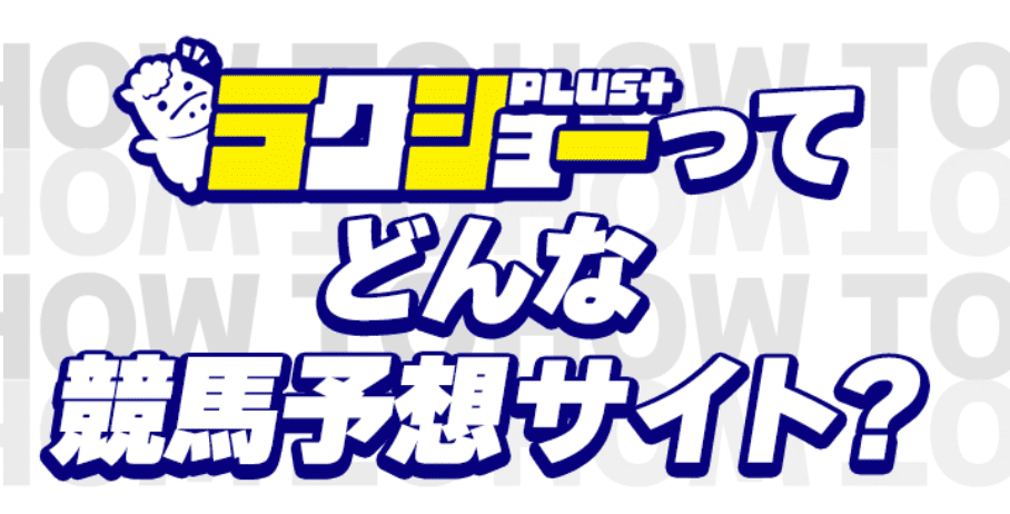 ラクショープラス_特徴_ラクショープラスってどんなサイト？
