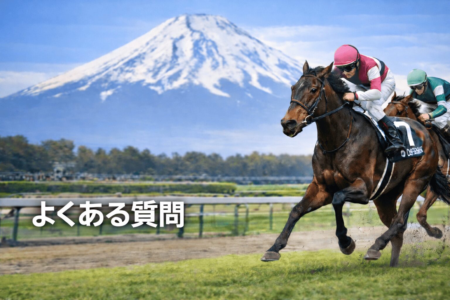 東京競馬場11R_白富士ステークス_20260131_よくある質問