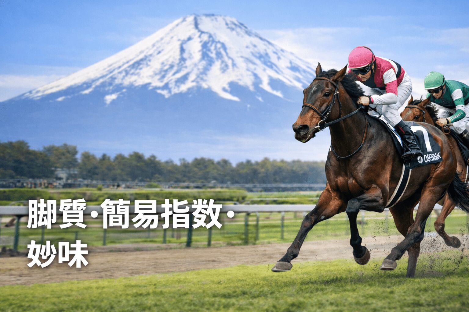 東京競馬場11R_白富士ステークス_20260131_出走表