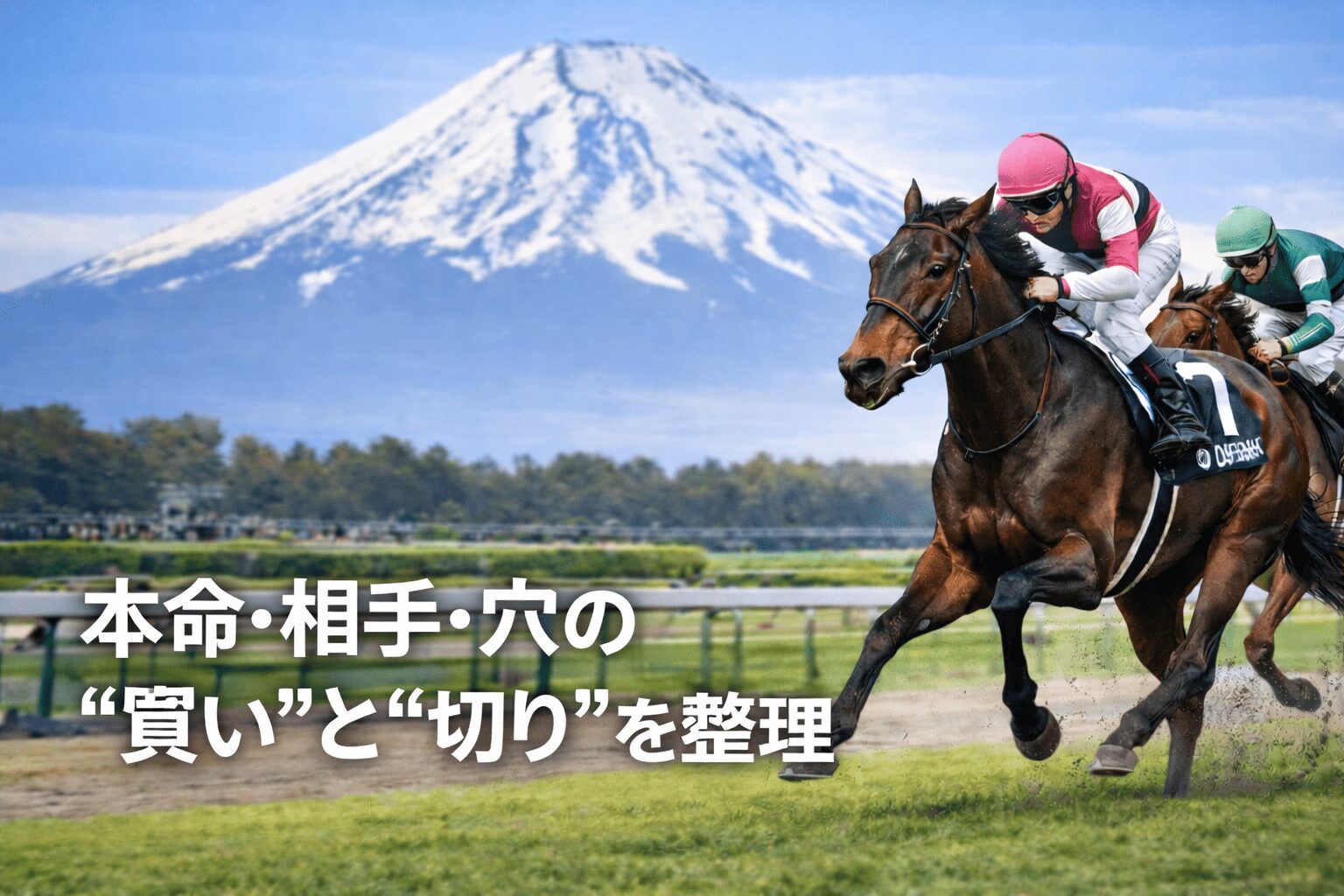 東京競馬場11R_白富士ステークス_20260131_注目馬