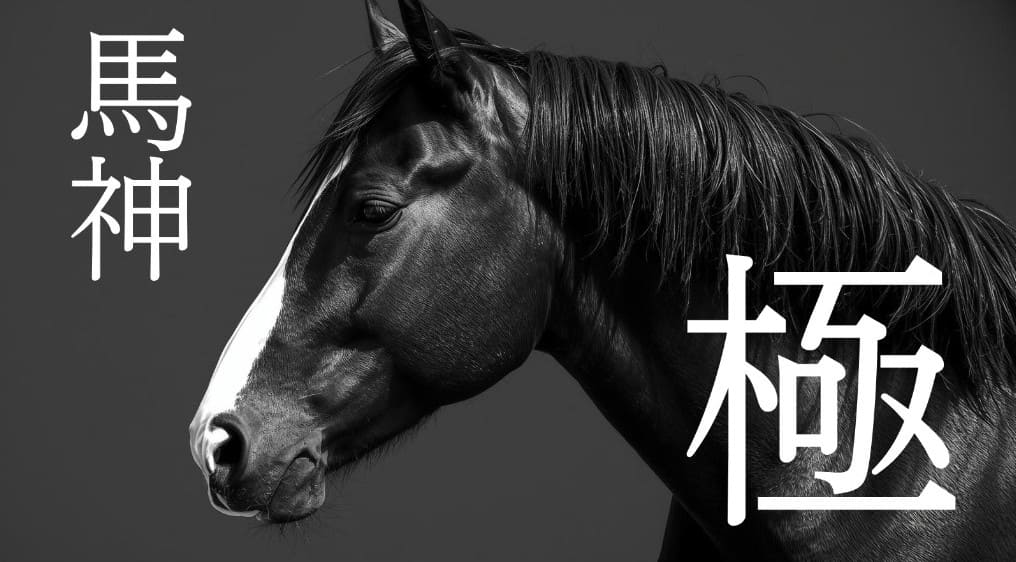 馬神_有料予想_馬神極み