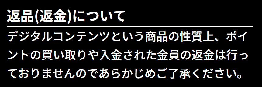 ボートフューチャー_返品返金について
